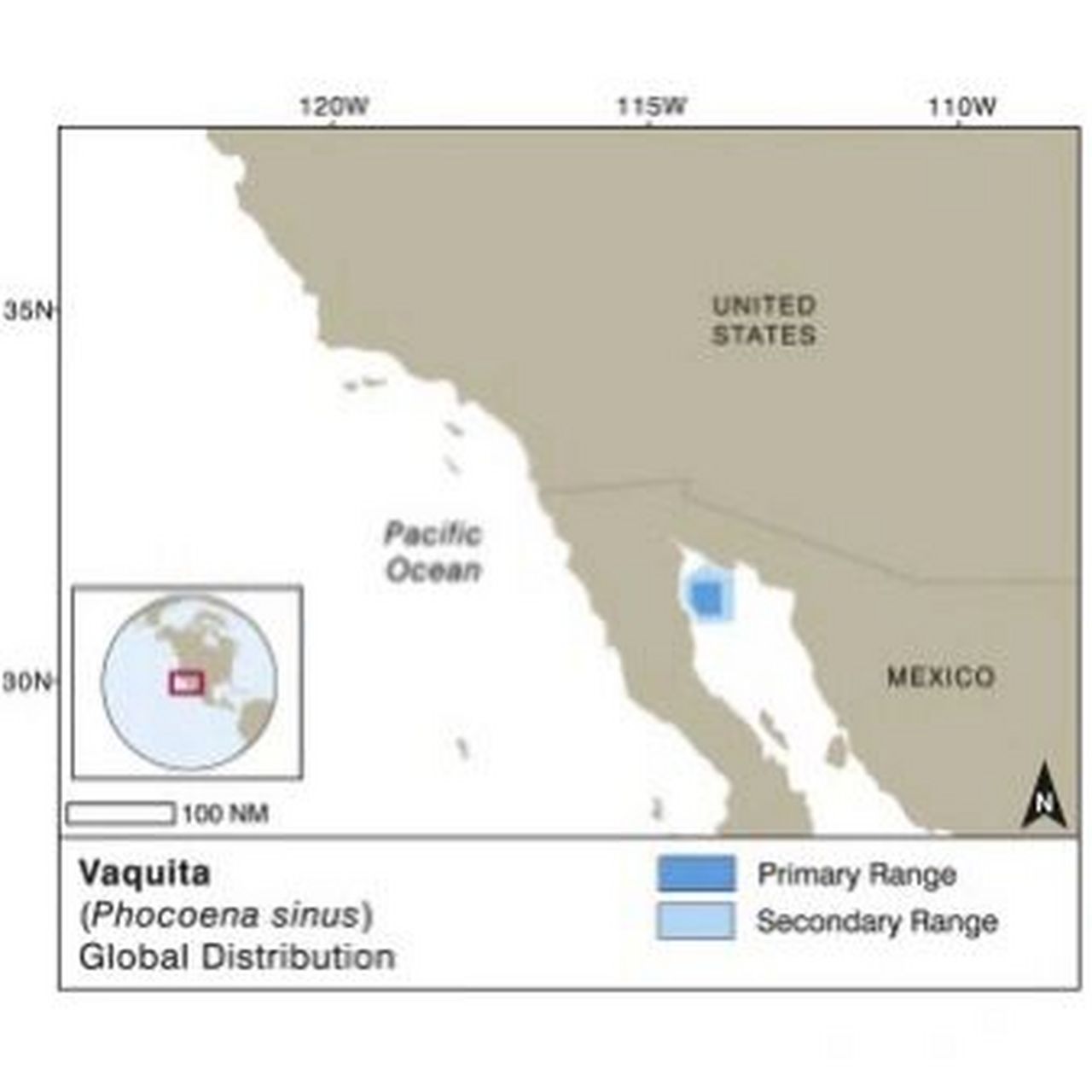porpoise 鼠海豚 phocoenidae 鼠海豚科,有3个属.