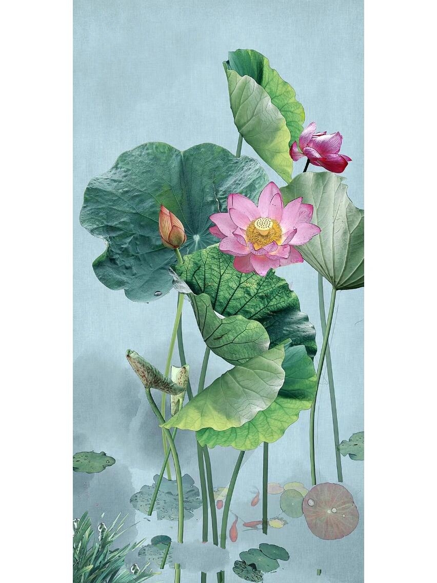 清雅.荷(画意荷花摄影)