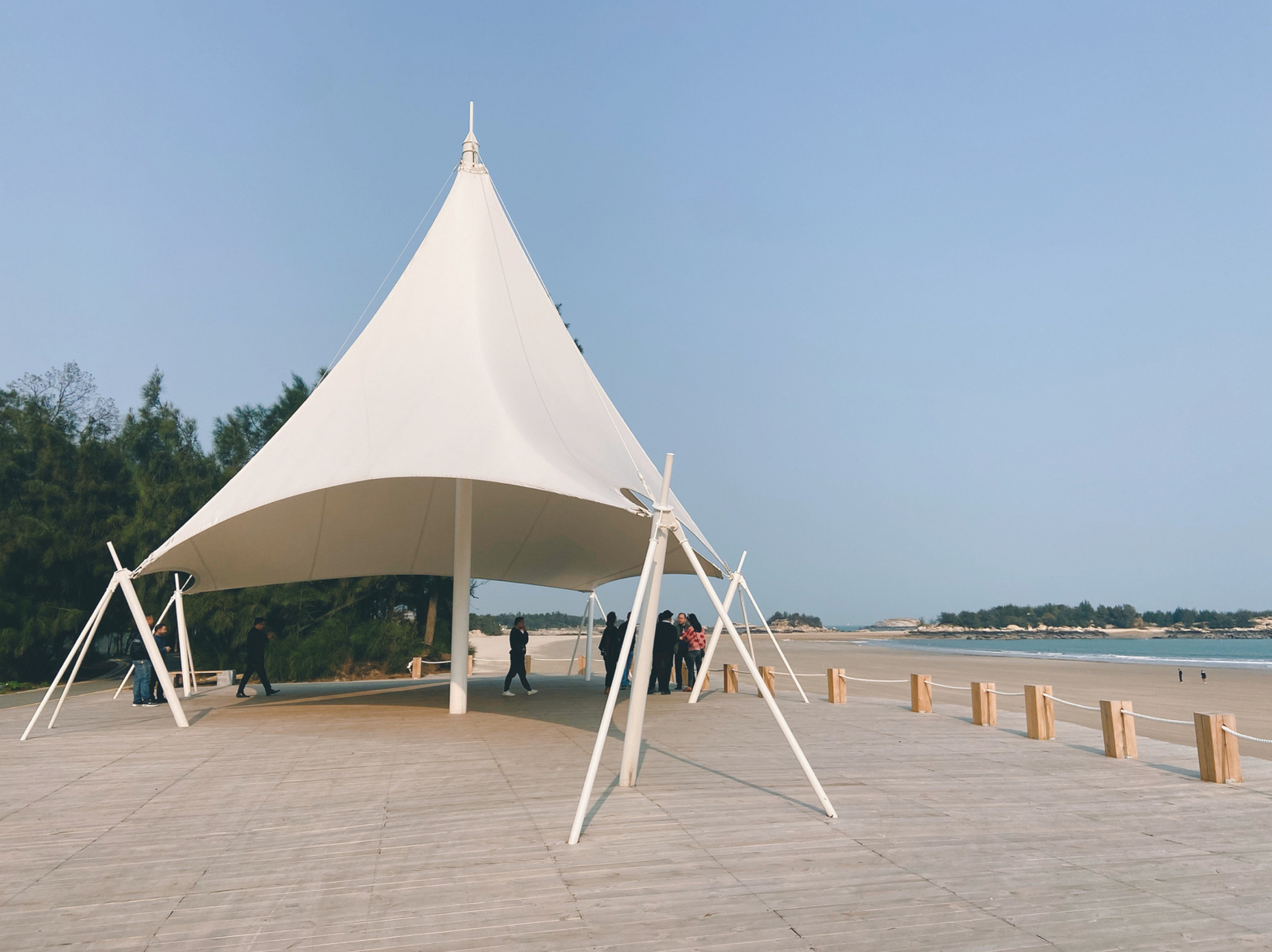 石狮红塔湾滨海公园 特色沙生植物 细腻的沙滩 绵延的海岸线 挺有意思