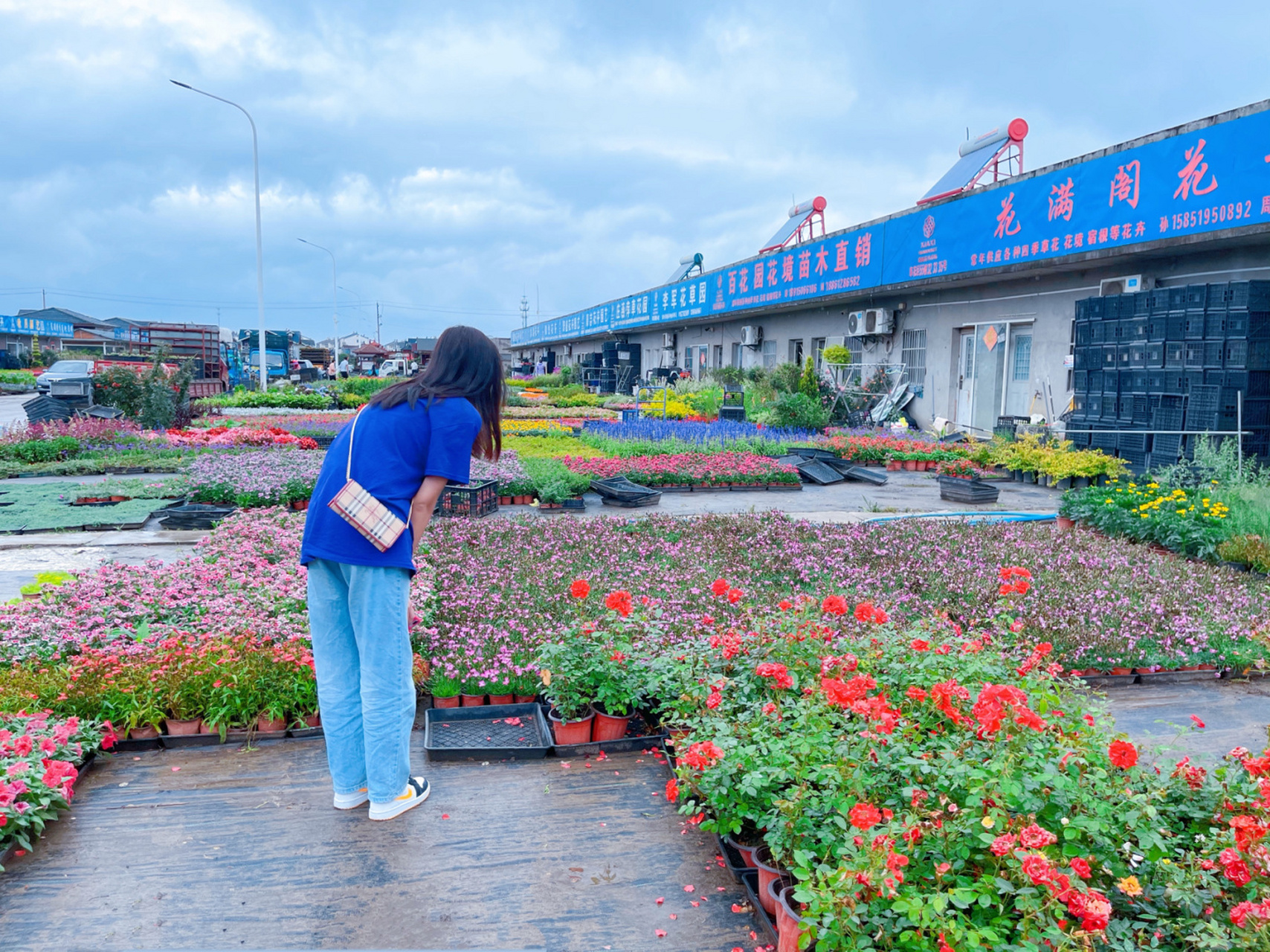常州夏溪花木市场 第一次逛花木市场,还挺好逛,规模非常大,有好几片区