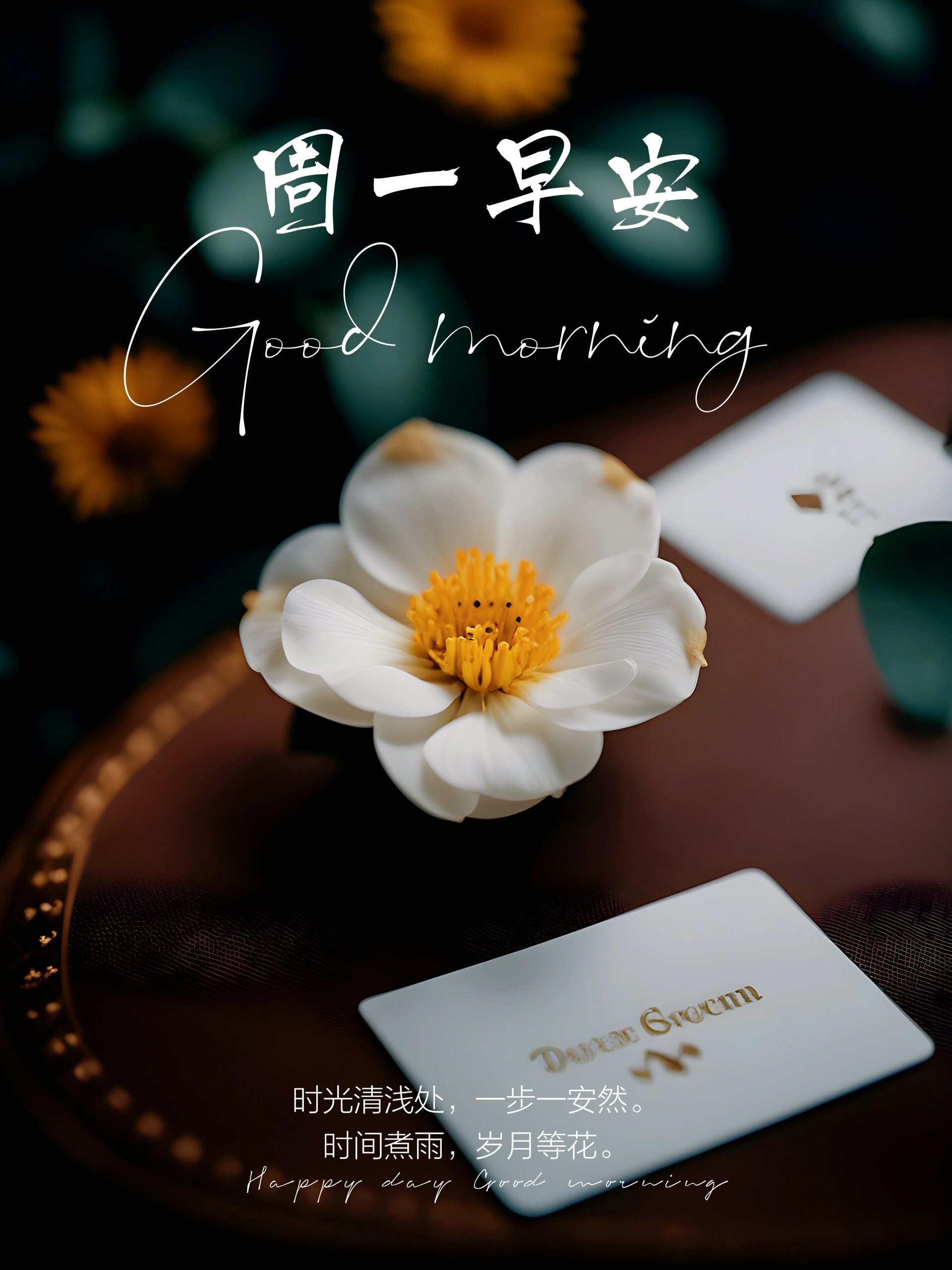 11月13日的早安心语|惊艳你的句子|励志文案  97励志文案～正能量
