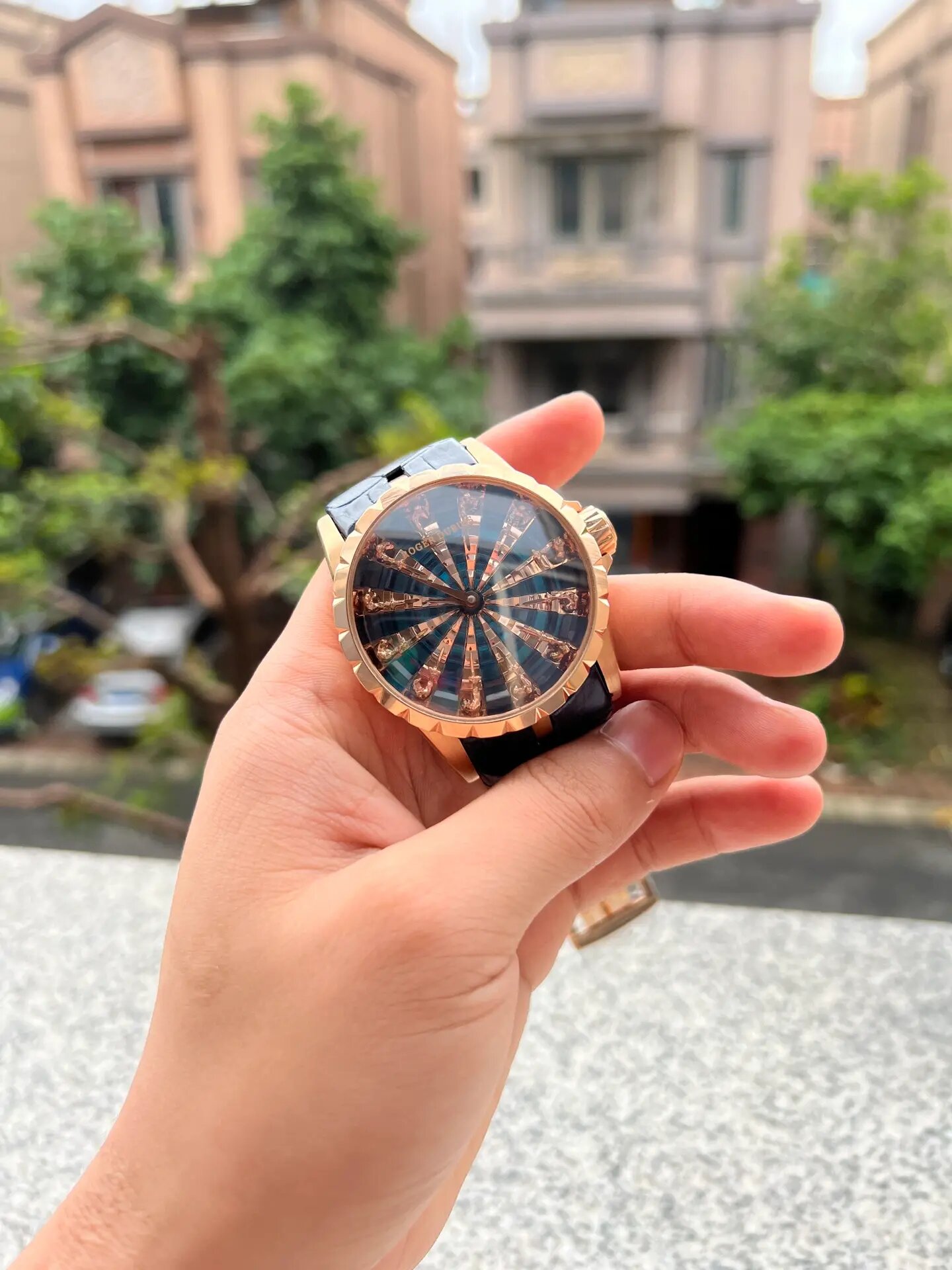 罗杰杜彼十二圆桌骑士