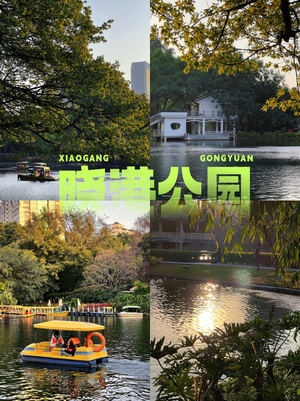 广州免费公园|小众静谧又出片的晓港公园90 真的很爱南方的公园