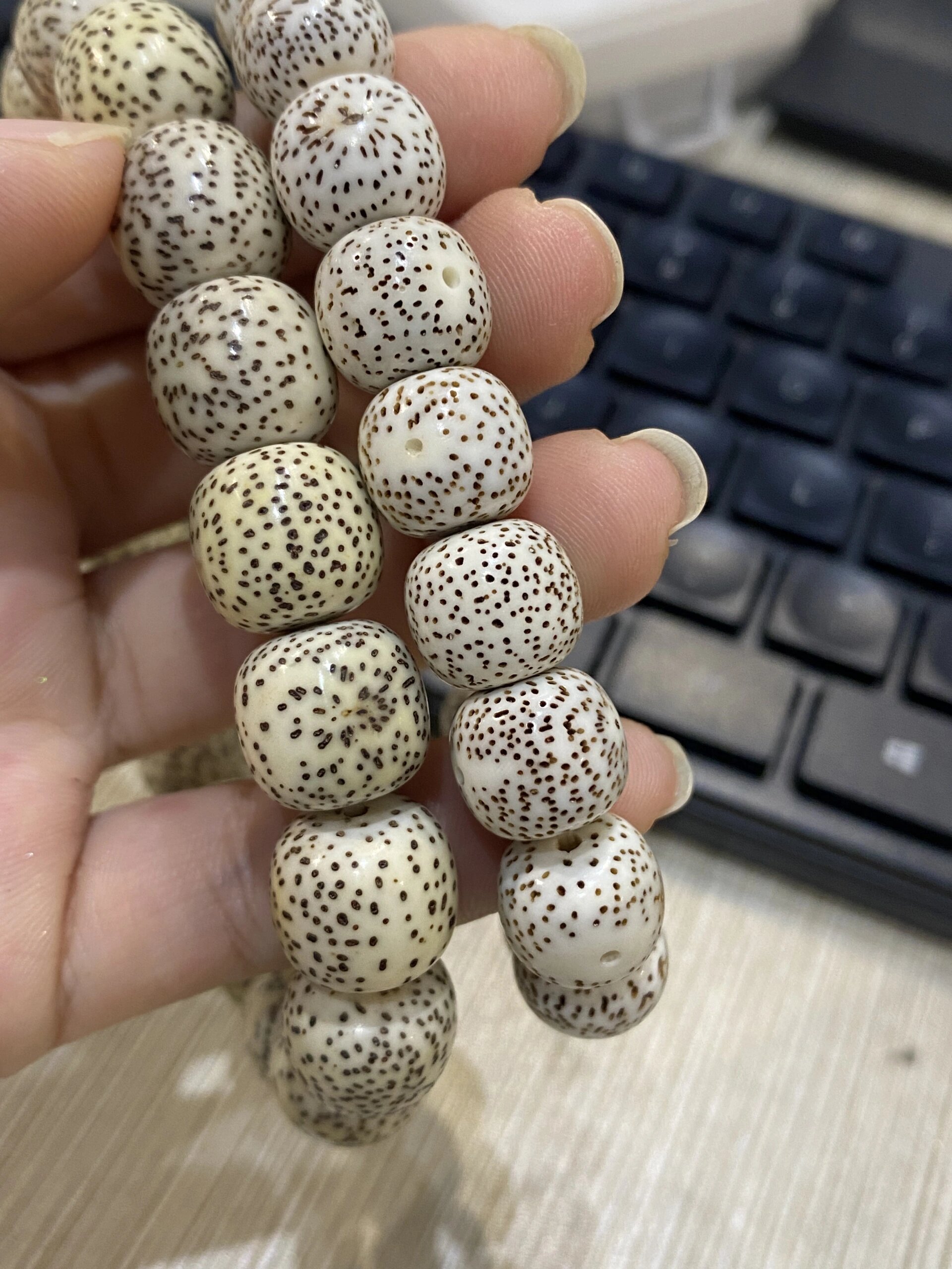 脱脂顺白与原生态顺白星月菩提的区别6015