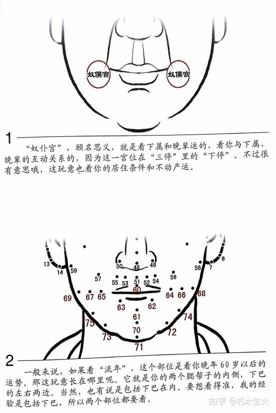 面相宫图图片