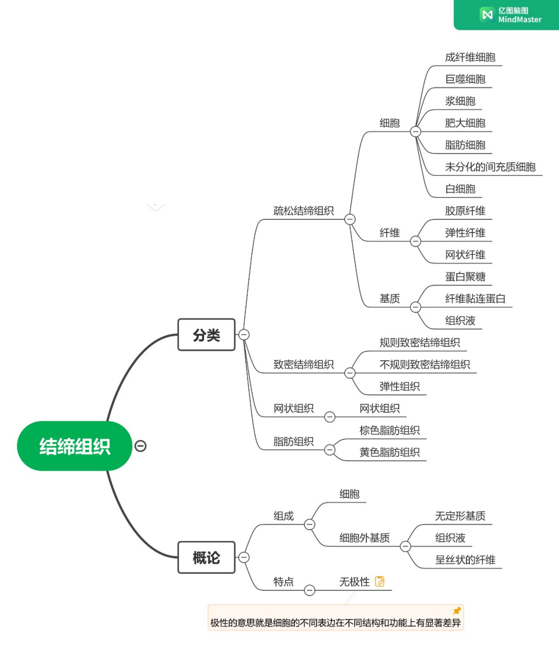 结缔组织知识思维导图图片