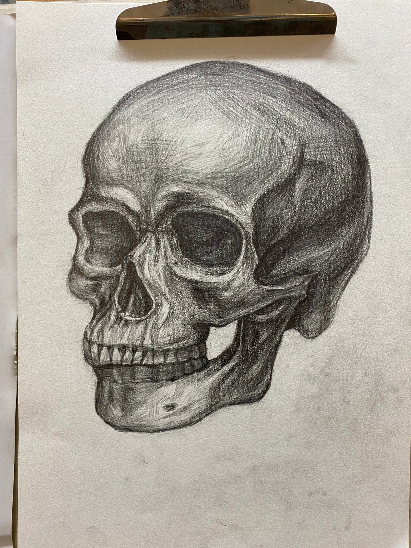 素描|骷髅头💀侧面
