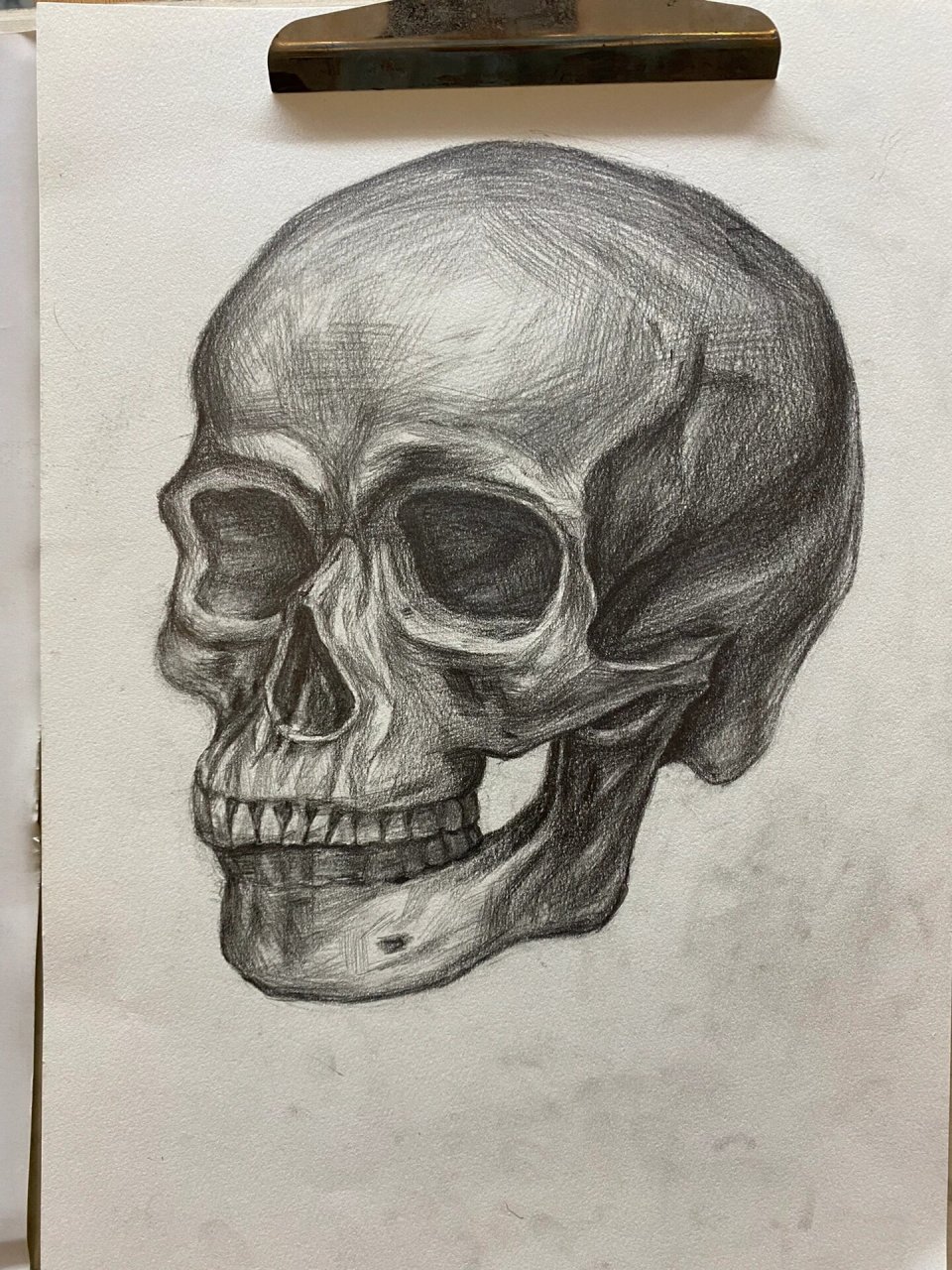 素描|骷髅头92侧面 夏天画骷髅头确实能搞到一丝凉意背后一凉的那种