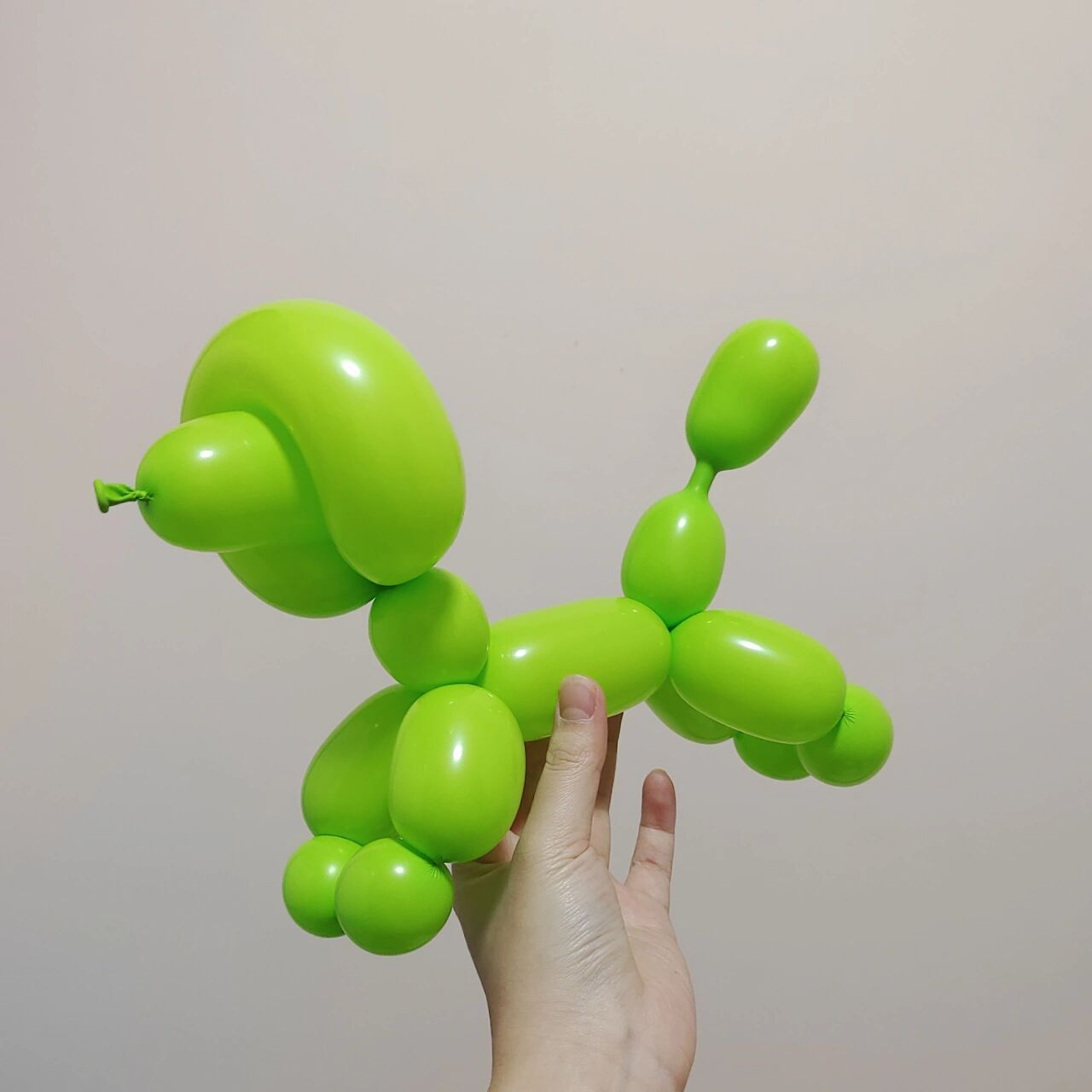 一根长条气球能捏啥 最近试了比较多简单的款式 想着干脆整理一下给