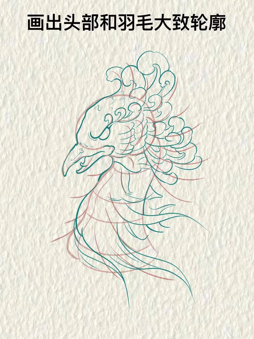 新传统凤凰头部画法教程