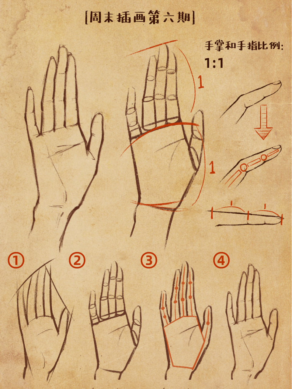 【插画教程】手的画法99 周末插画系统班第六期-基础训练 .