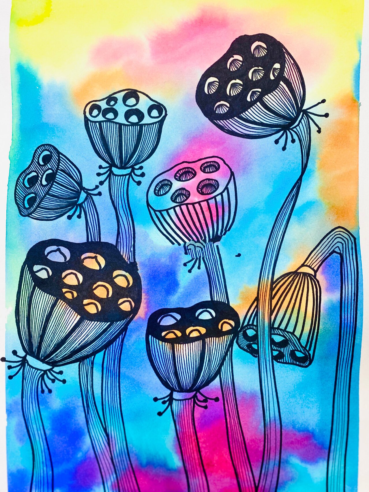 儿童画【线描莲蓬】 创意儿童画 适合5岁以上小朋友的创意线描课程