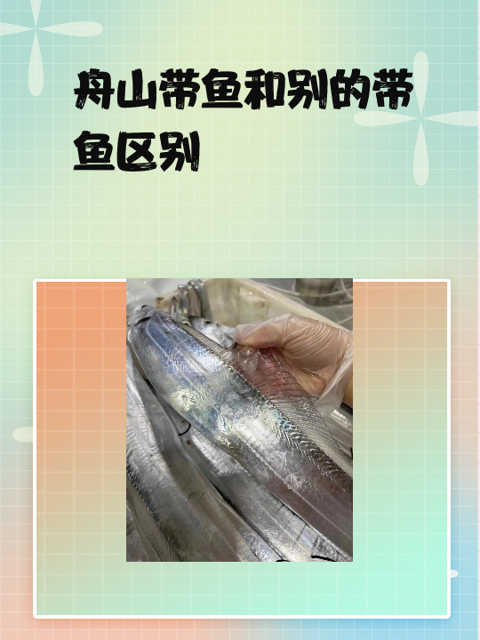大小:舟山带鱼的大小通常在每条30-40厘米,而其他地方的带鱼可能叫