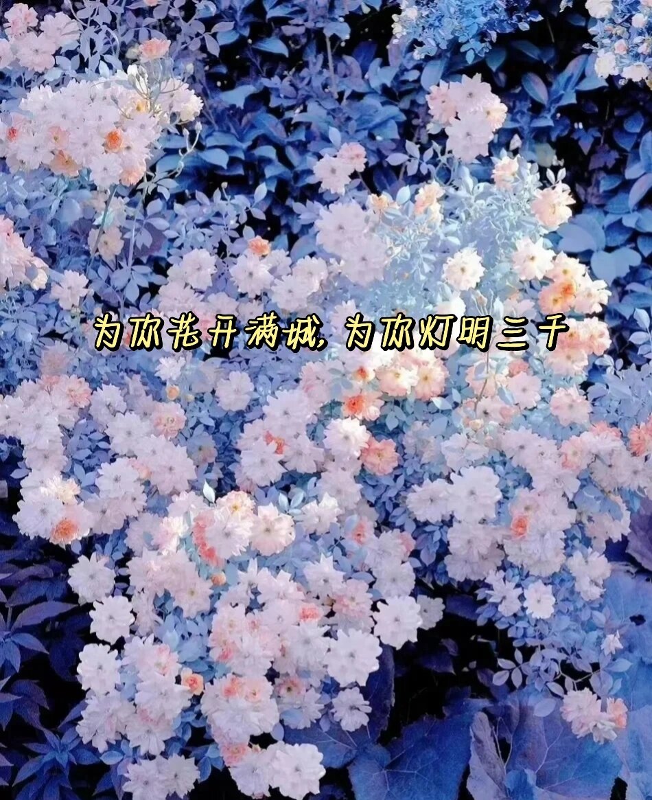 花朵文案