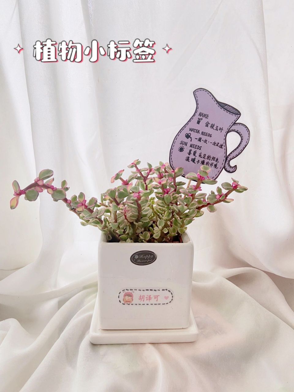 亲子手工|0成本幼儿园植物标签 春天到了,万物复苏,幼儿园为了让小盆