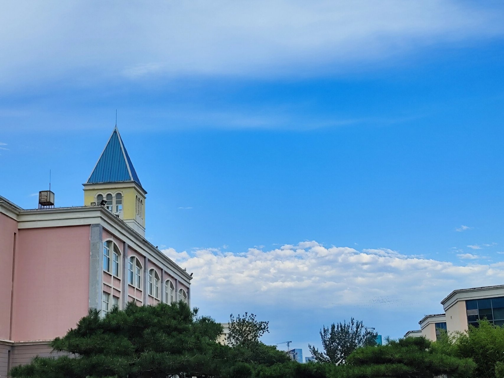 国网技术学院 学校的天空很美,期待下次再见