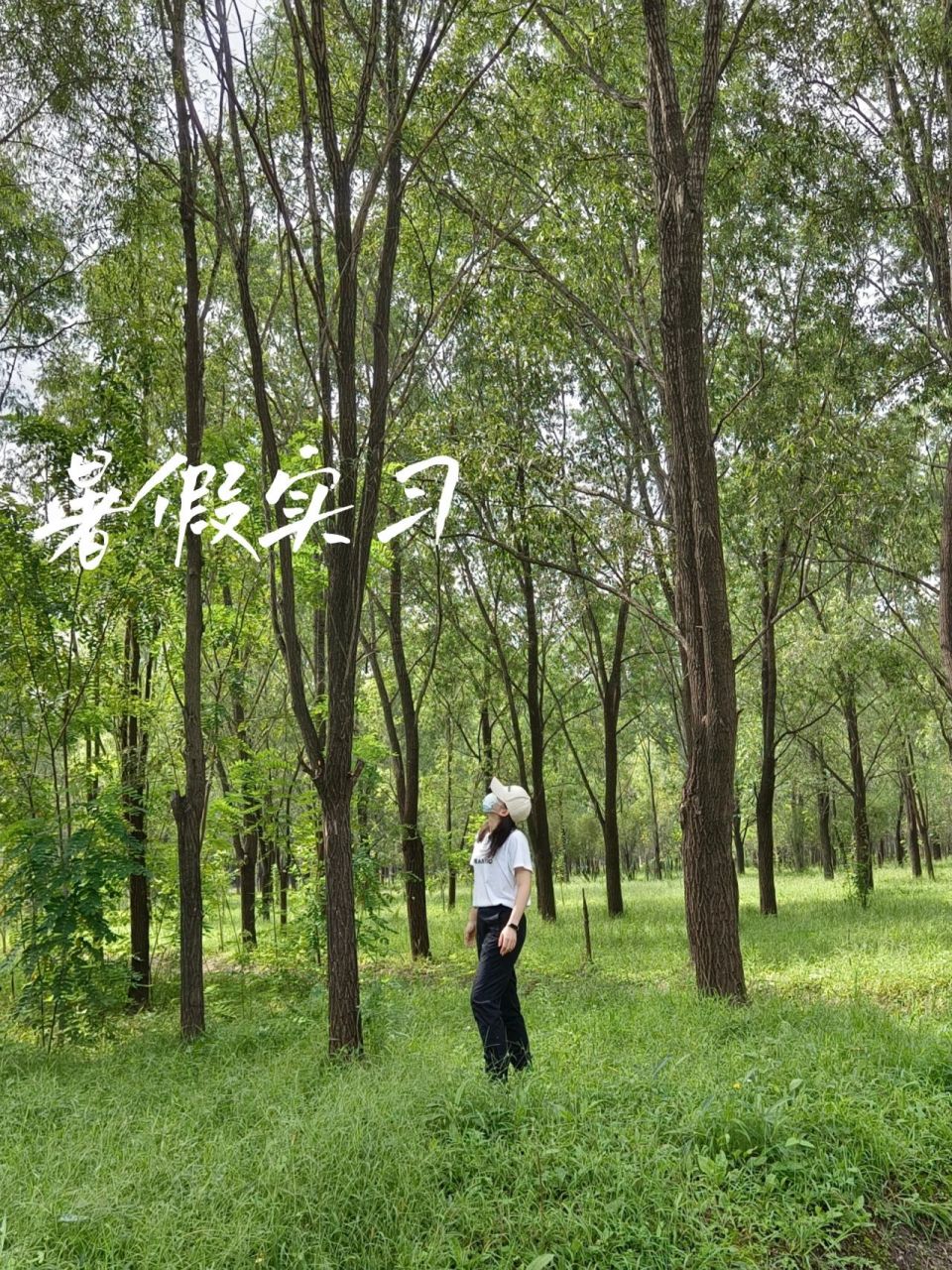 大四林学生有问必答之林学专业  99什么是林学?