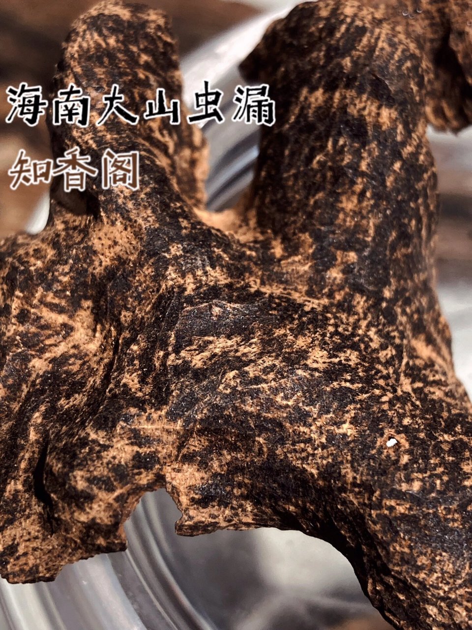 虫漏沉香细节展示教学 野生的沉香有许许多多的结香方式,不同方式造就