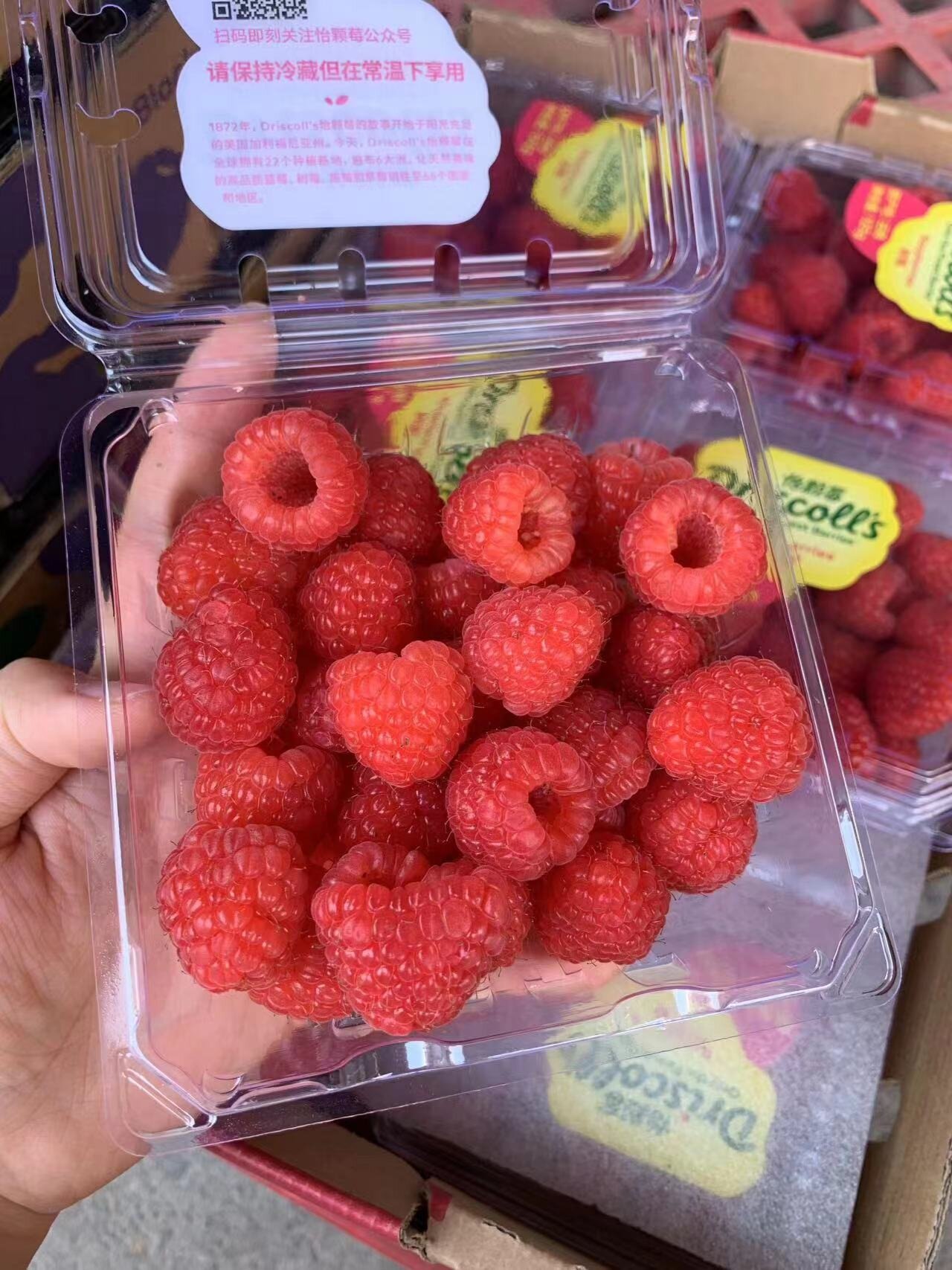 黑莓树莓确实好吃,但真的买不起.