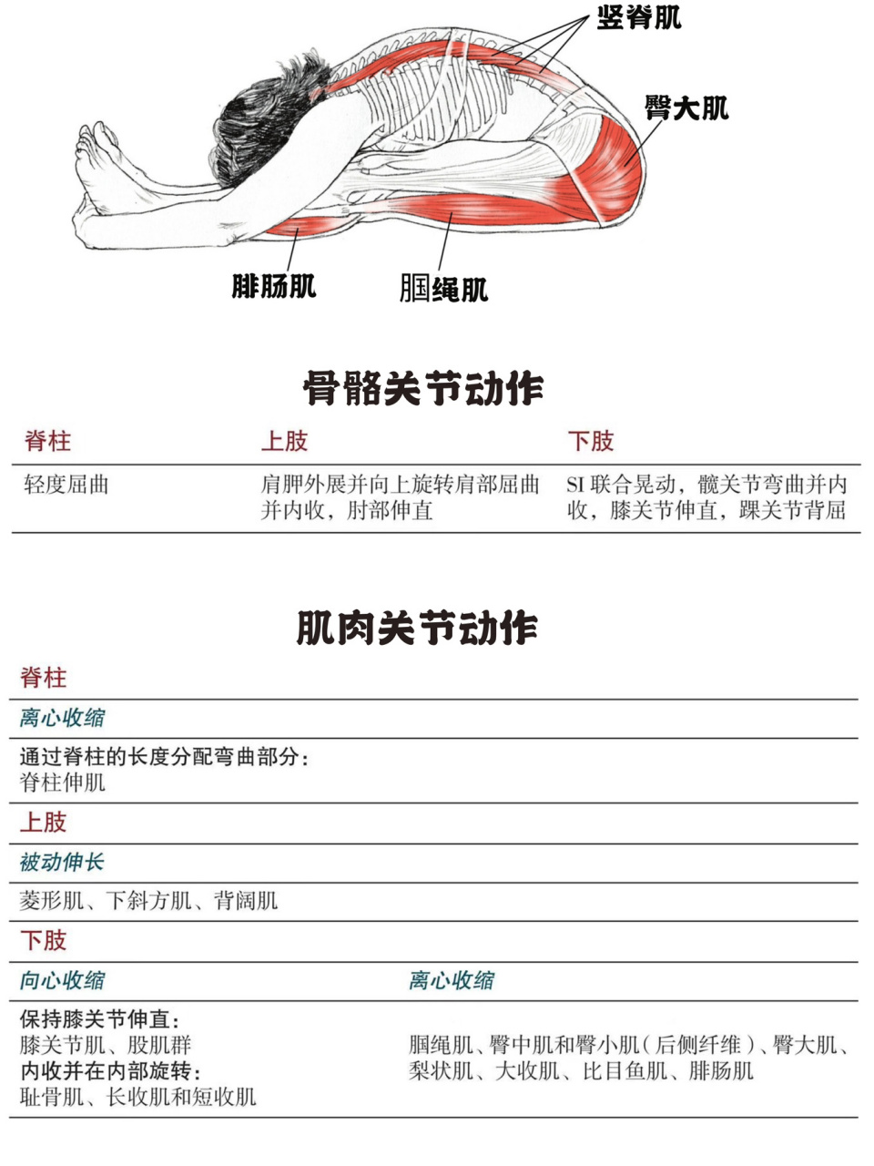 瑜伽坐前屈体式图图片