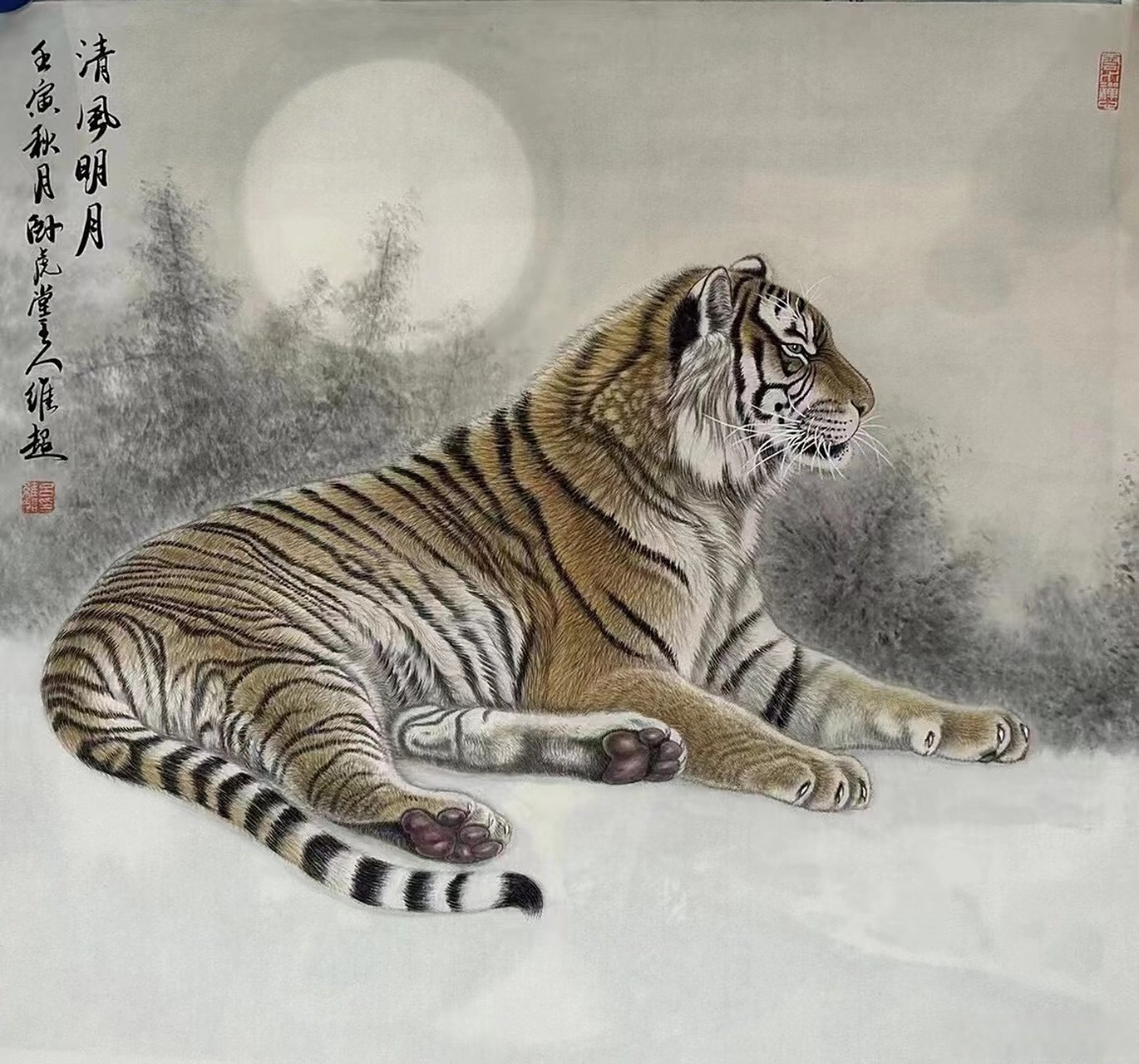 吕维超,斗方工笔虎#艺术##国画