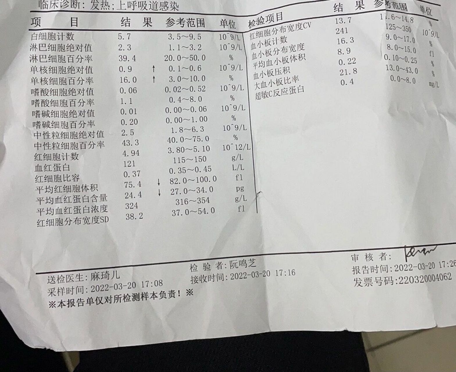 单核细胞高 其他正常是什么情况? 去了医院 发烧38.