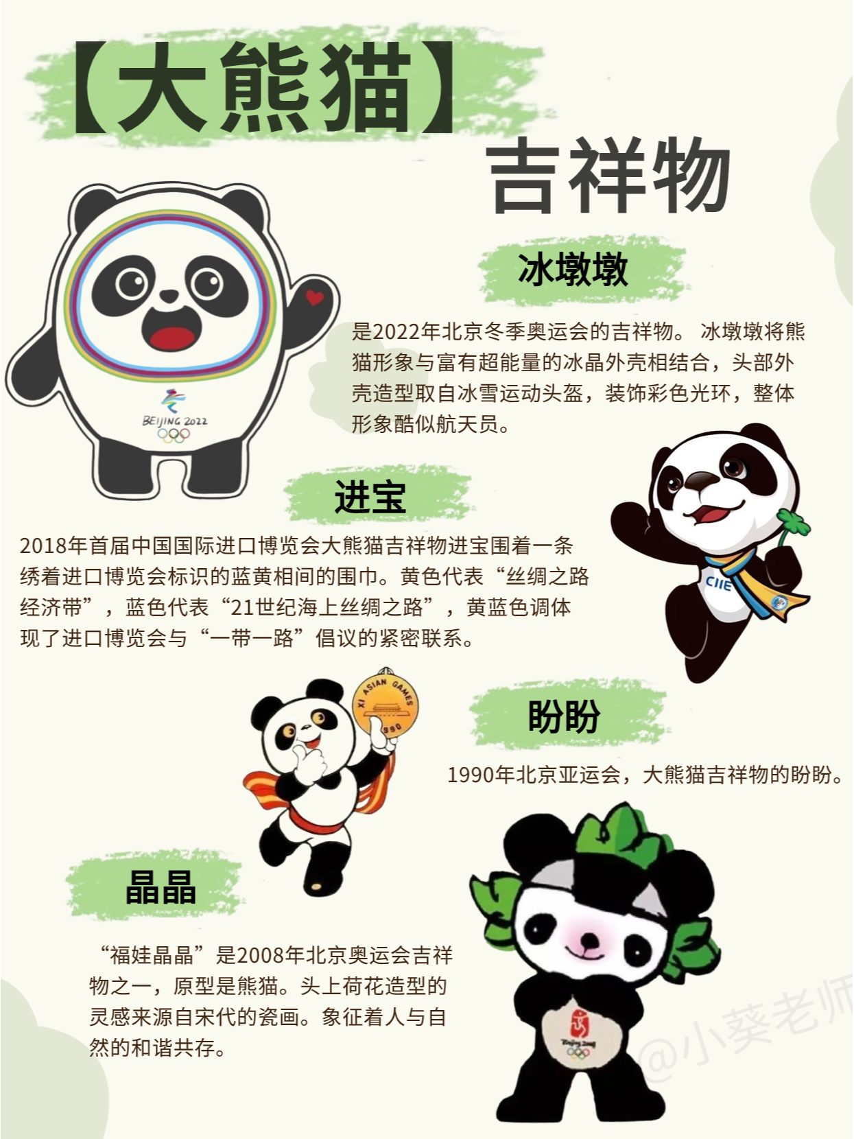 【动物科普】顶流大明星——国宝熊猫94 94熊猫是我国一级重点