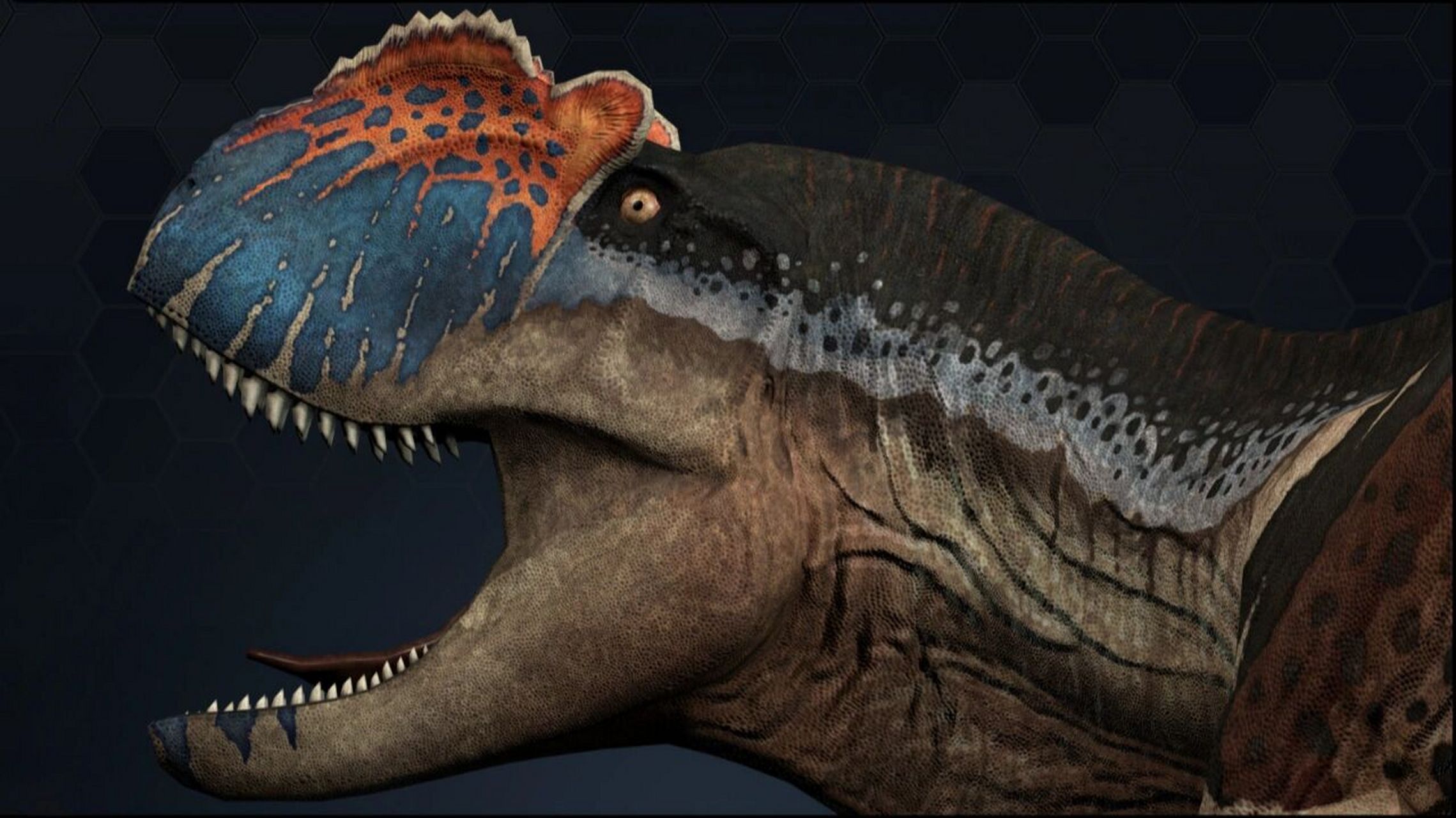 永川龙 上游永川龙 yangchuansaurus shangyouensis恐龙总目-蜥臀目