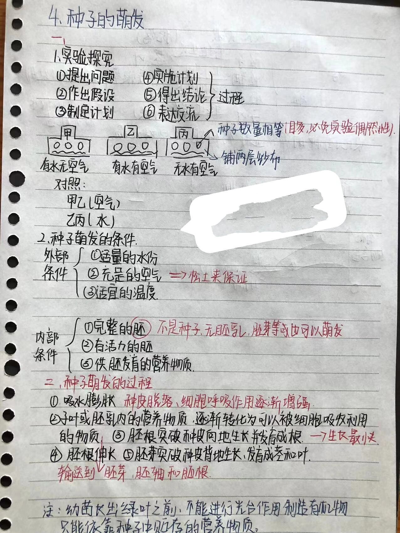 八年级上册生物笔记