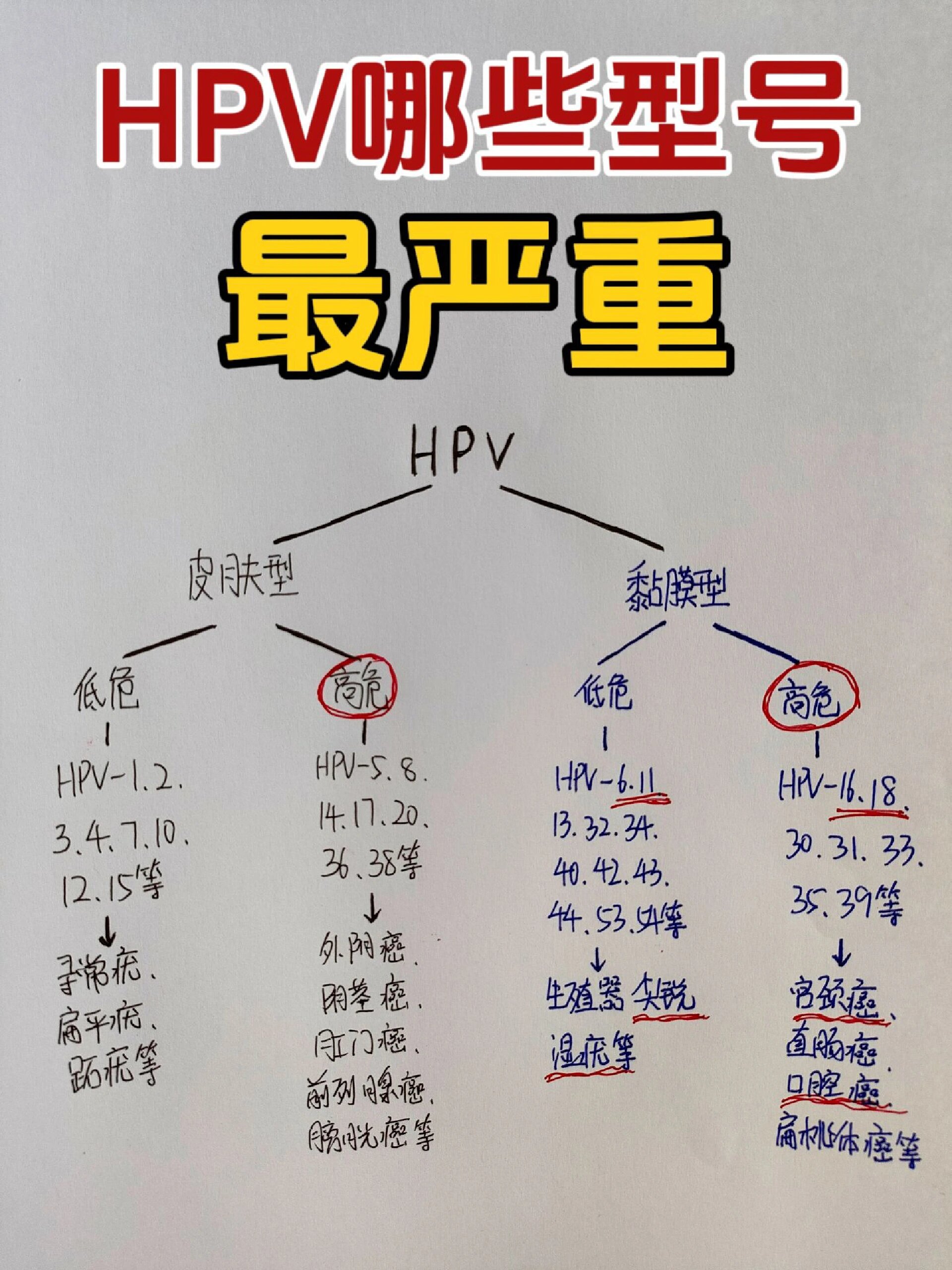 hpv病毒是导致女性宫颈癌的"罪魁祸首",很多女性朋友检查出阳性后