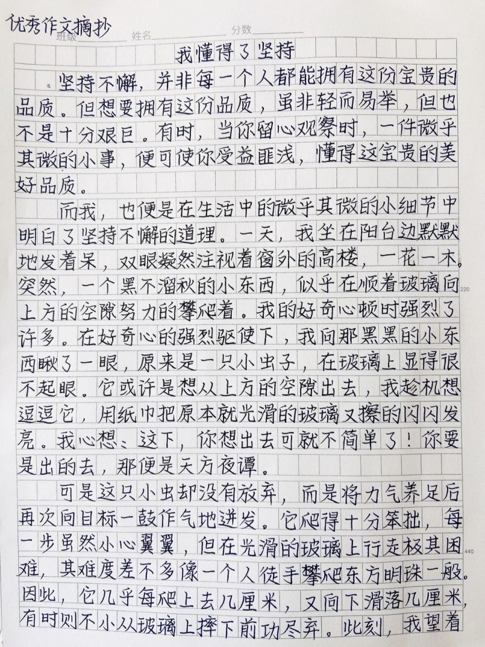 我懂得了坚持作文图片