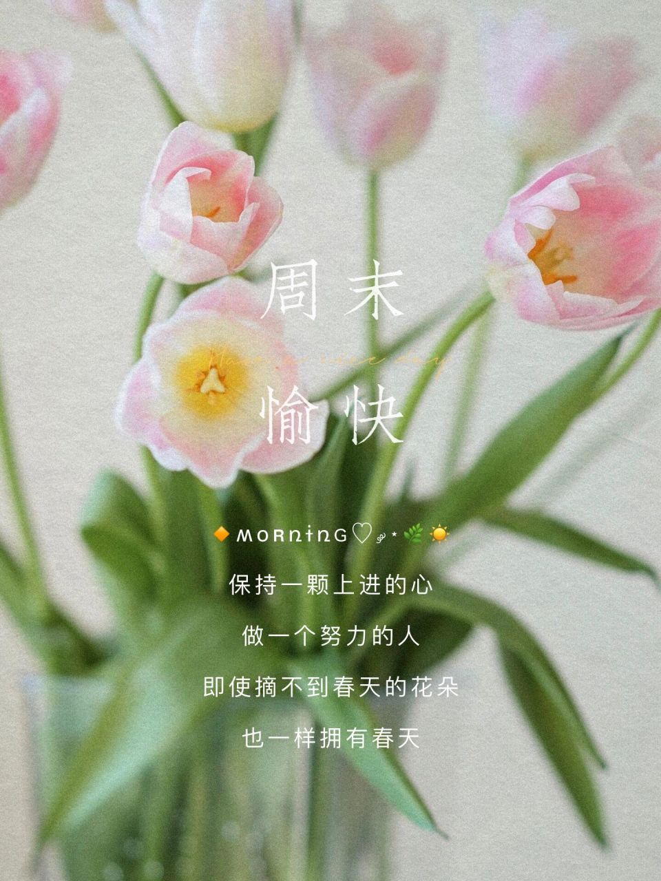 周末愉快|周末朋友圈早安日签海报文案设计  文案分享: 1.