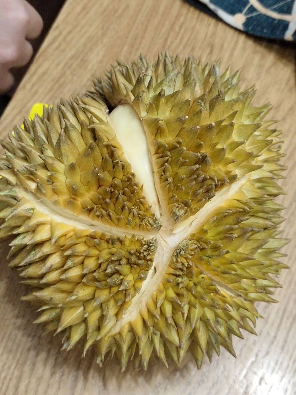 多多买菜迷你榴莲别试 好奇买了多多买菜的迷你榴莲盲盒,实付51.