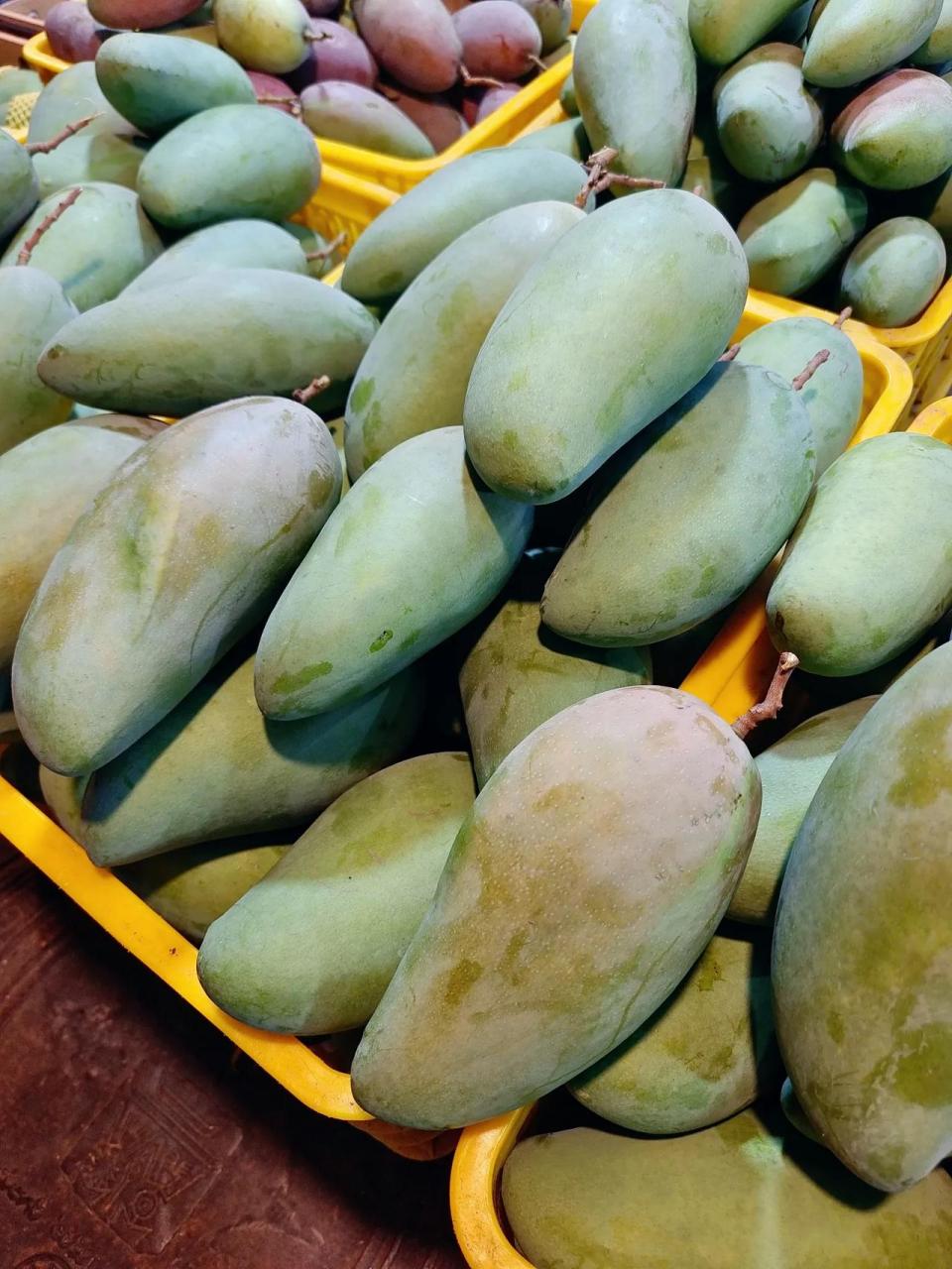 百色田阳的芒果10块钱6斤,比脸还大的芒果也38块钱10斤还包邮,四舍五