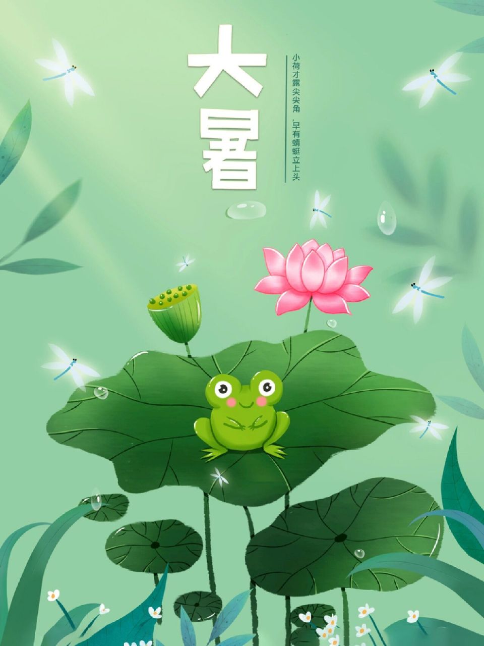 人生如茶 闲看芳华 06. 大暑节气