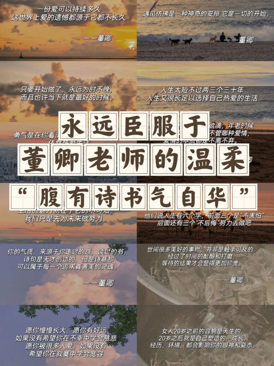 摘抄|董卿的经典语录,一开口就被惊艳到 7815一份爱可以持续多久