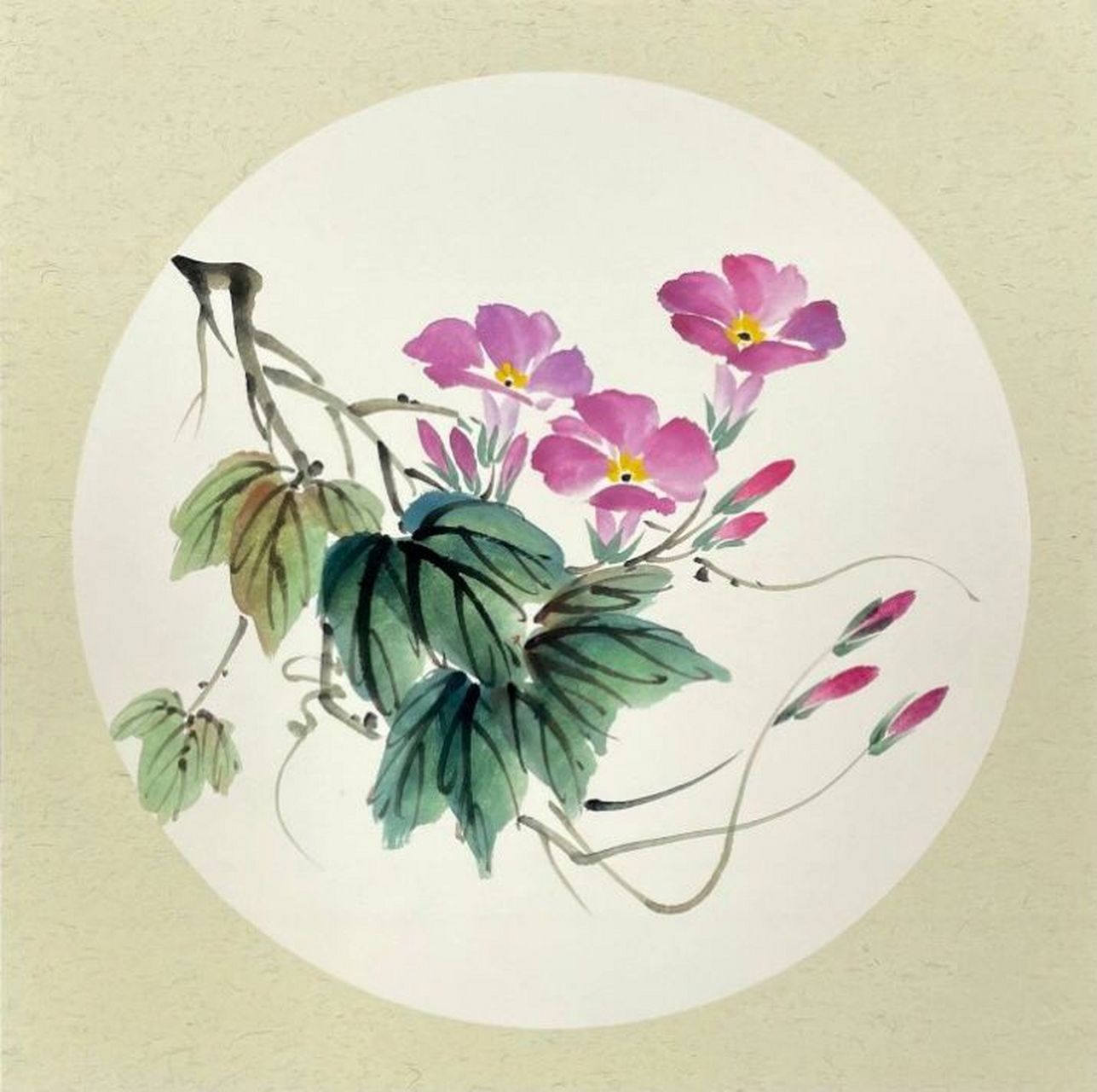 国画牵牛花 大鹏国画课《临风滟滟紫霞杯》要点: 1.