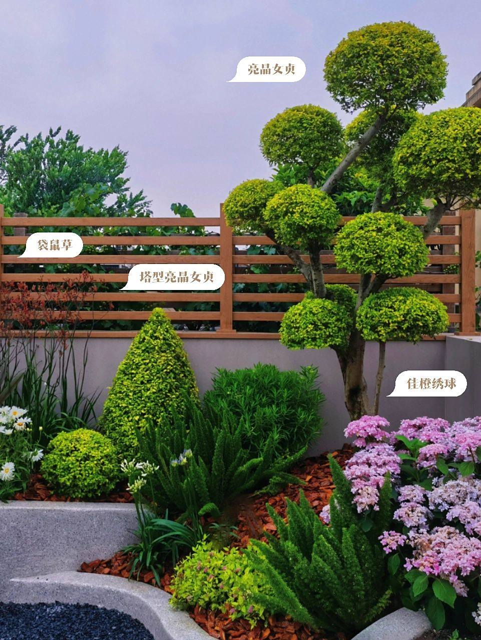 夏日少女系花镜 植物搭配分享 收藏!