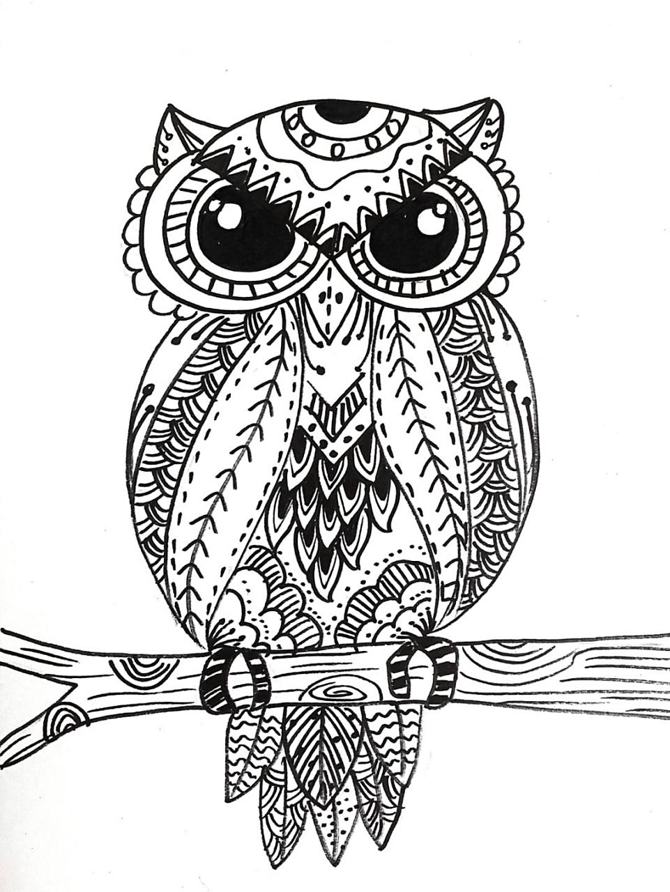 猫头鹰线描 #线描# #黑白线描# #动物线描