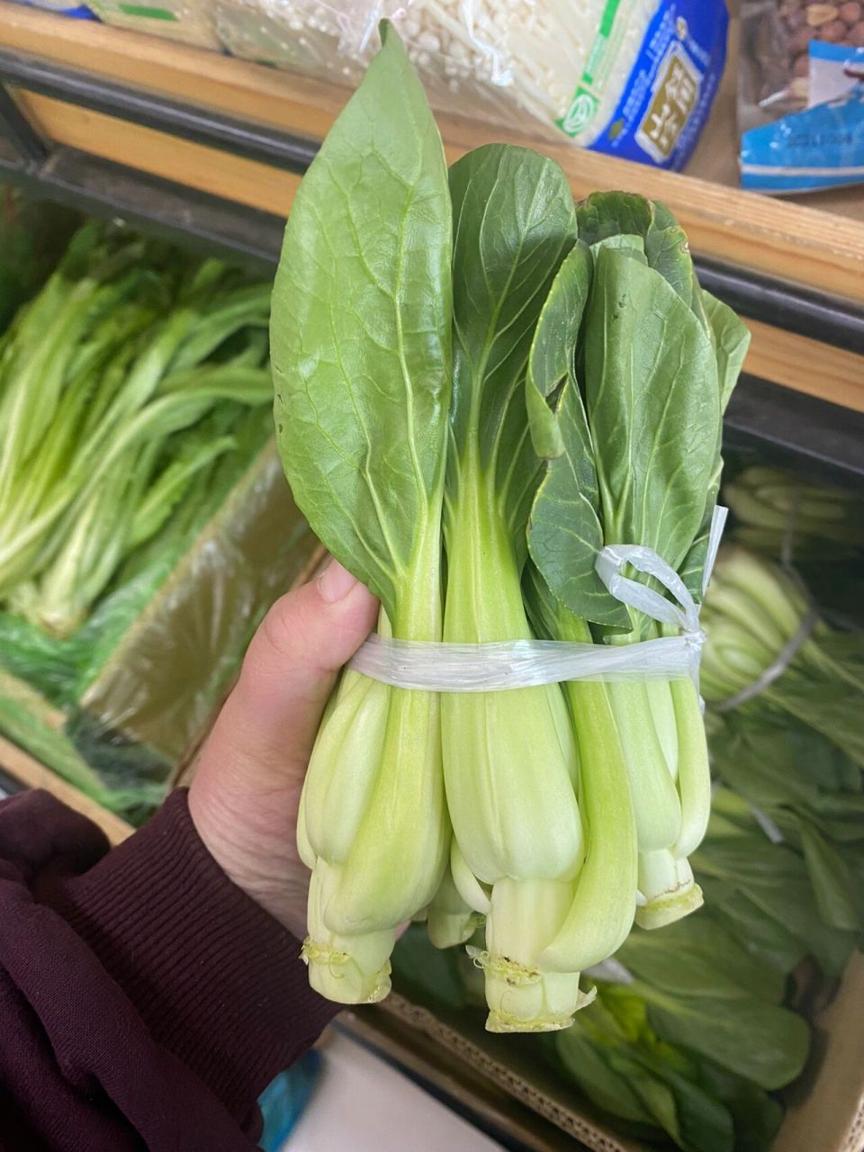 和上海青  唐菜是三种不同东西 图2是北方的小白菜   叶子带棱角 上面