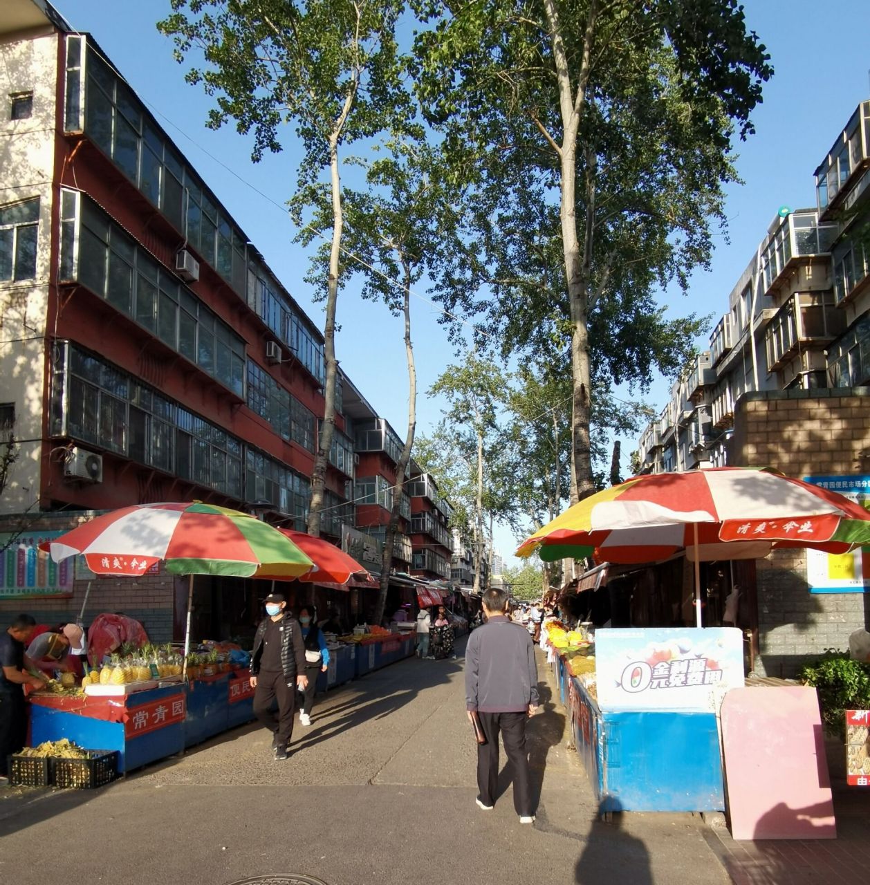 在淄博市博物馆旁边,有一个叫常青园也叫西五路集市的集,搜索常青鞍