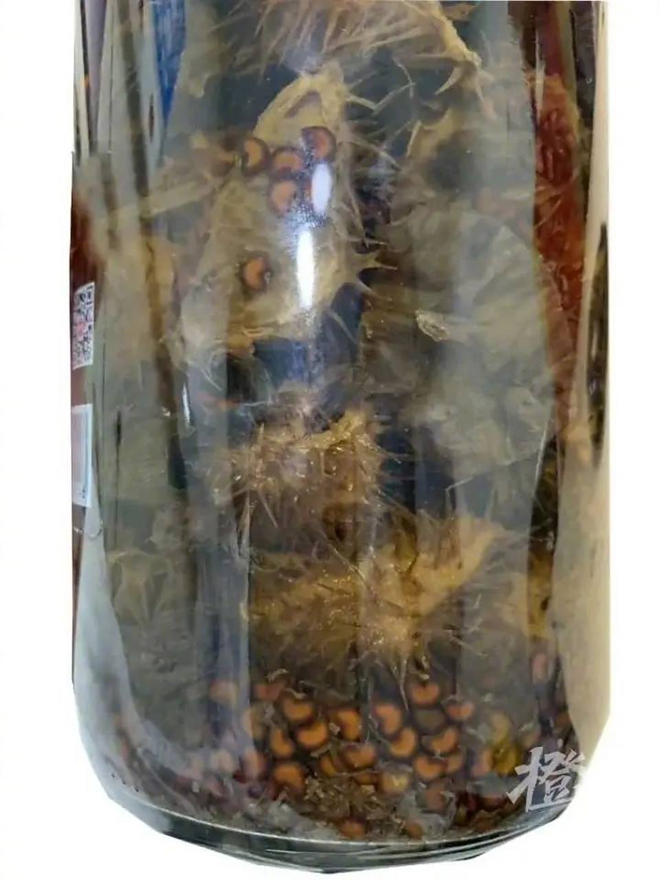 【#男子误饮外用药酒致曼陀罗中毒#:看见去世多年的"太奶奶"在和他招