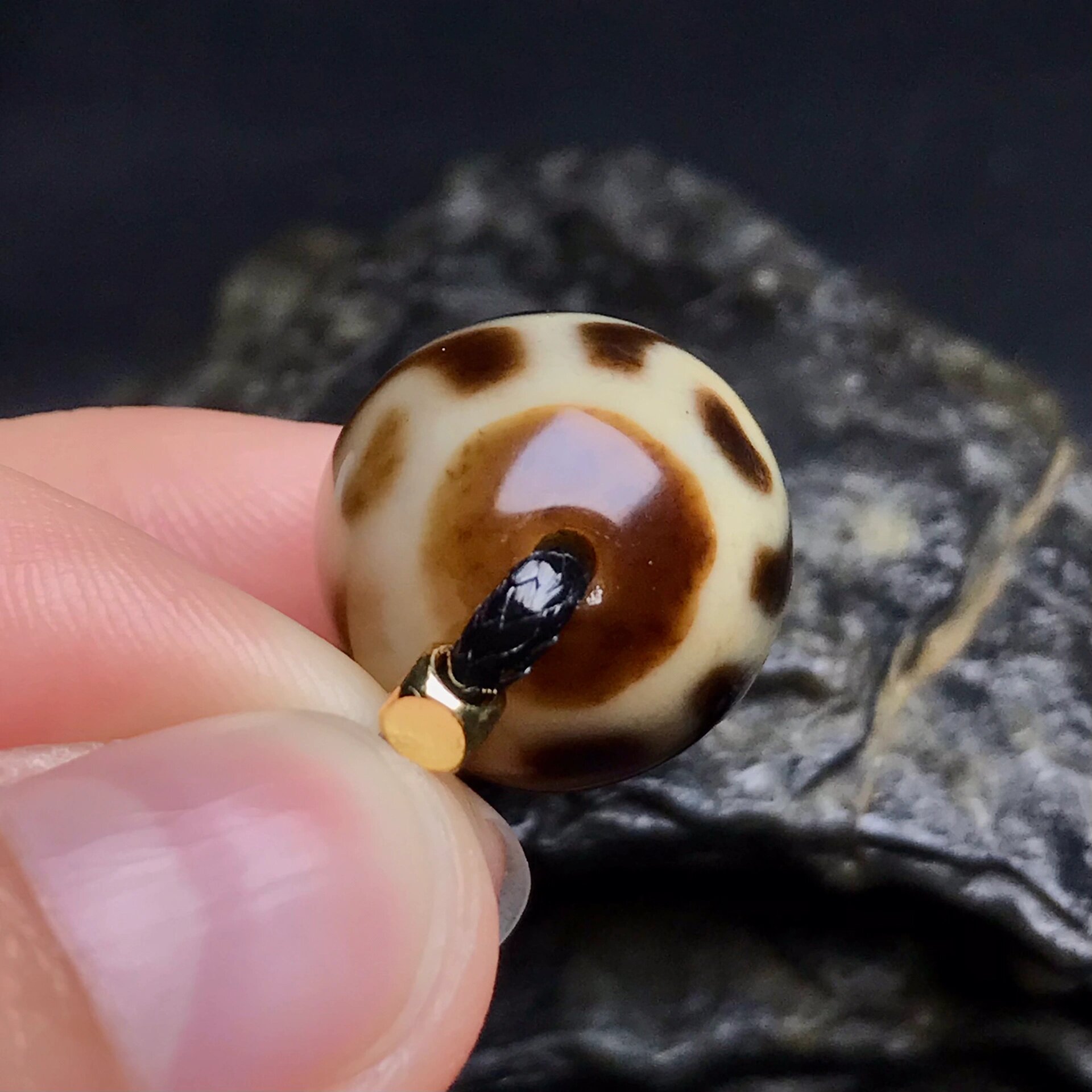 台湾上肯牙黄龟甲莲花达洛天珠90128/颗 品质肉眼可看,老料玛瑙密度