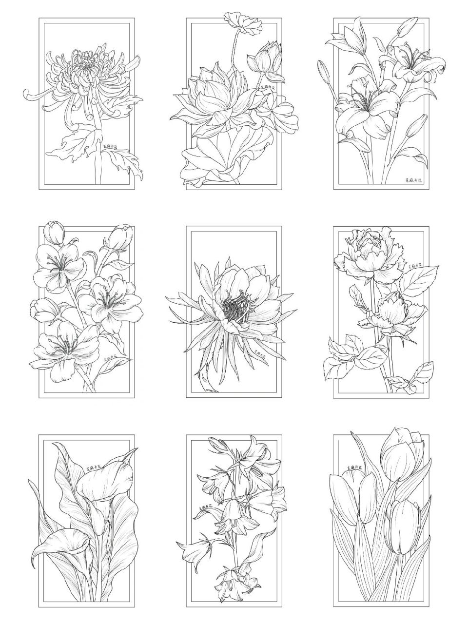 植物线稿九宫格 原创作品——植物线稿合集 1.菊花  2.荷花  3.