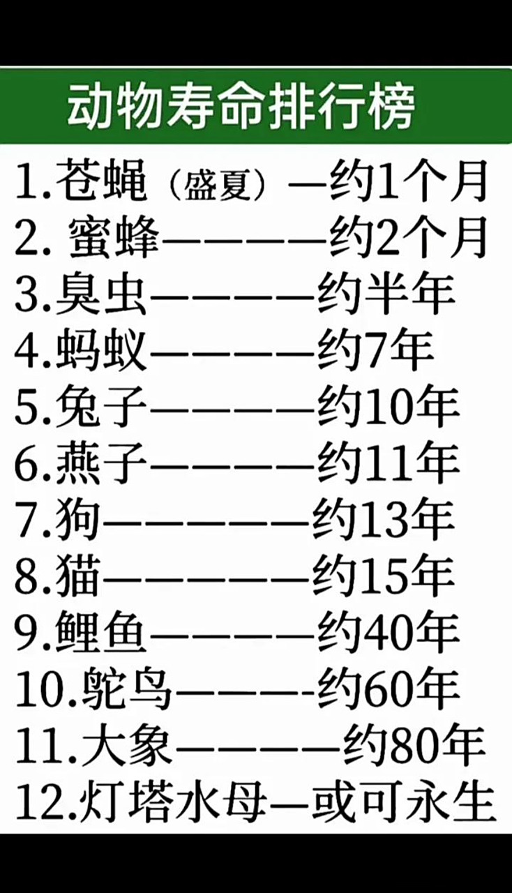 动物寿命排行榜[灵光一闪]