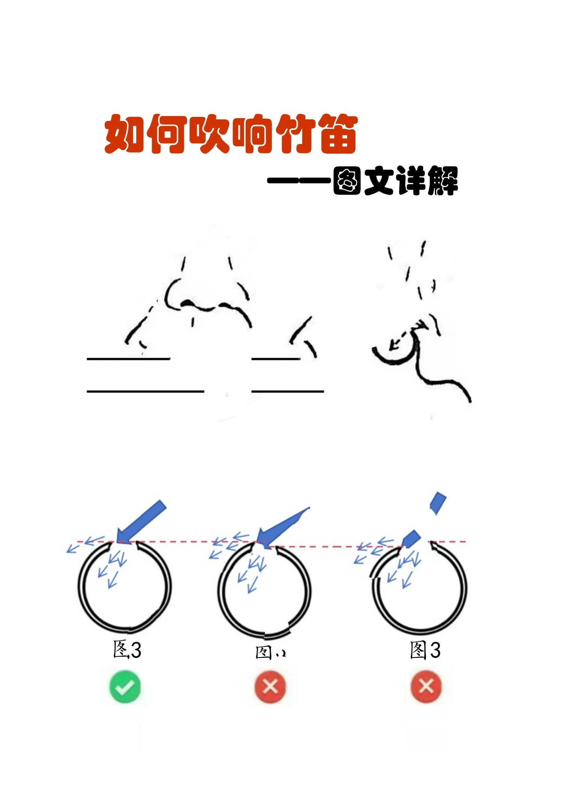 详细资料请官注共z号:成成学堂 笛子的发音原理 竹笛属于边棱气鸣型
