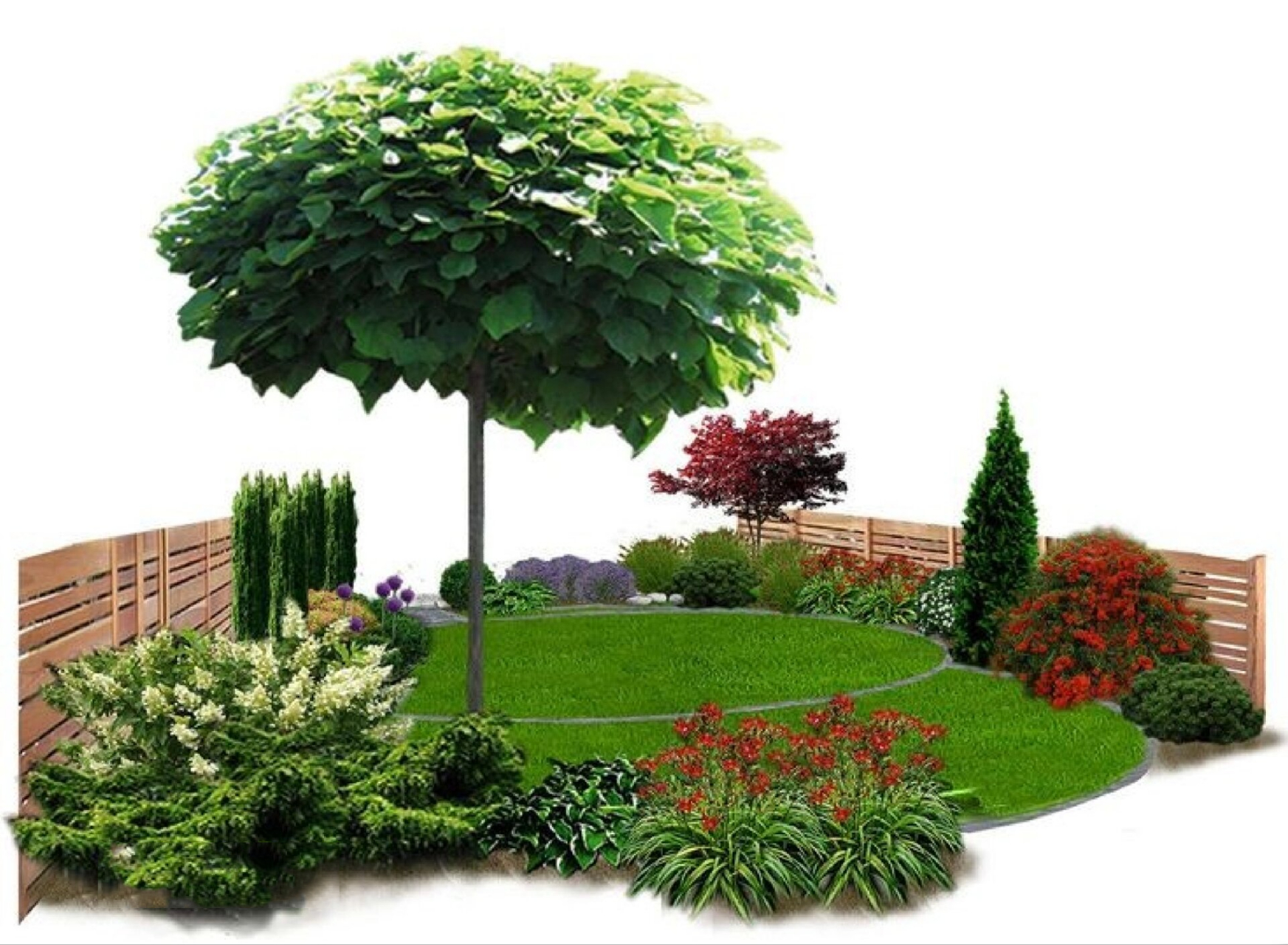 灌木花境的搭配,针叶树的百搭组合