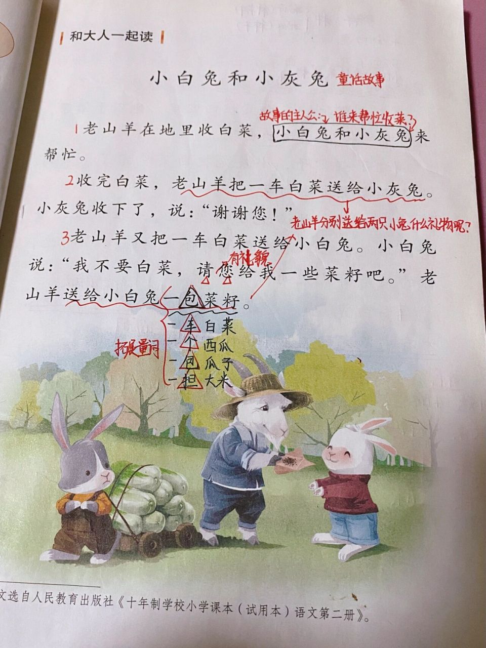 一年级语文上《小白兔和小灰兔》