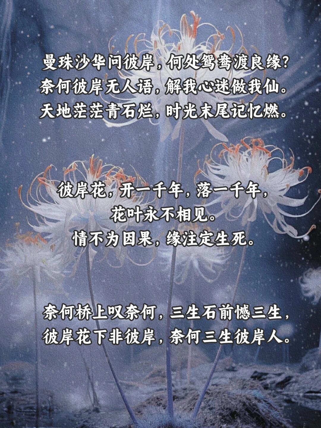 彼岸花凄美古风句子☆三途河畔,彼岸花开