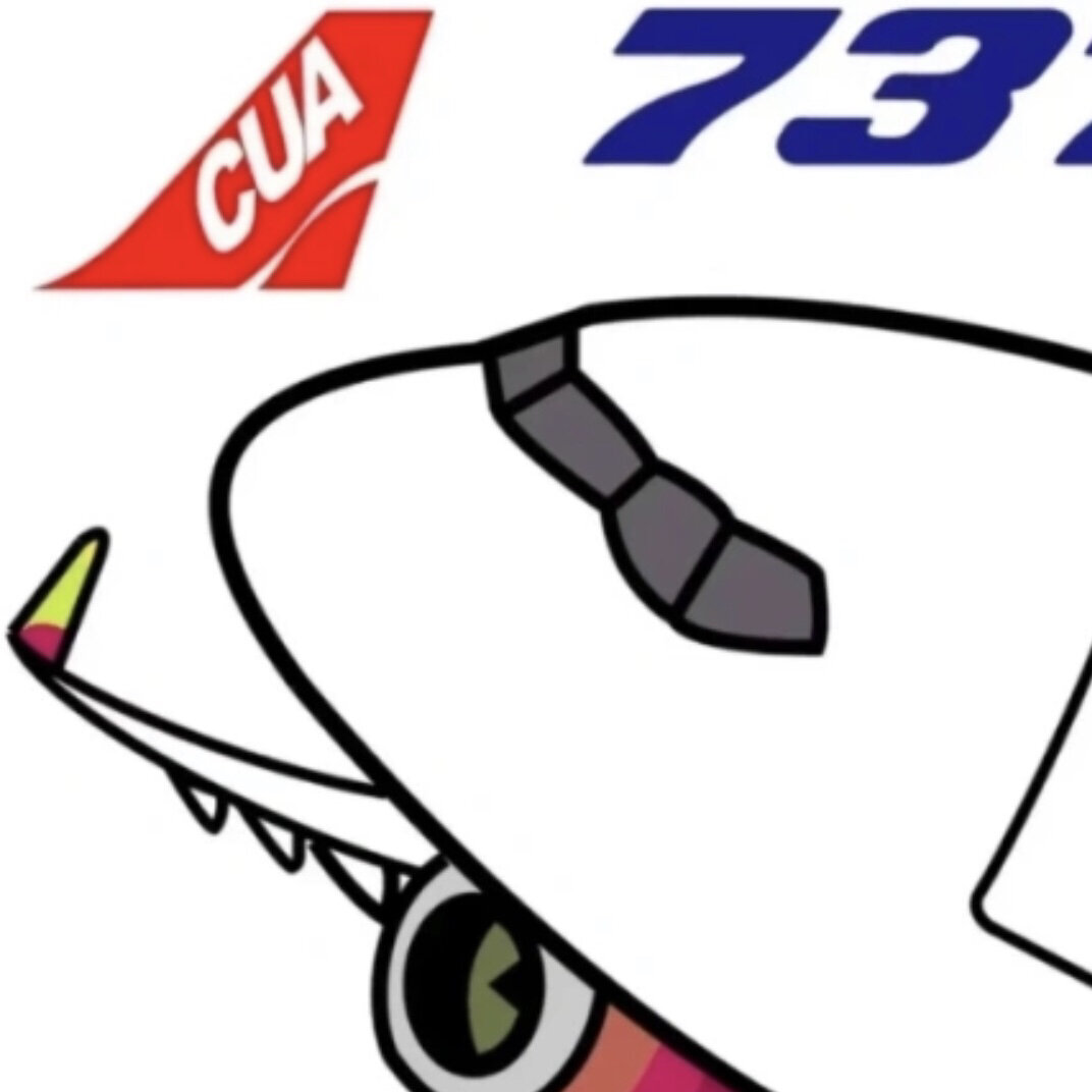 波音737飞友头像